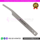 Entomology Forceps – Precision Tools for Delicate Work